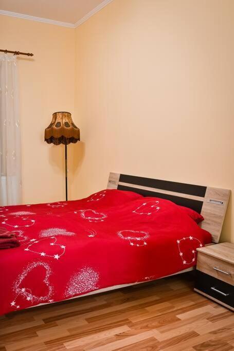 Casa Max Apartment Тимишоара Екстериор снимка