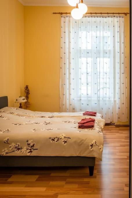 Casa Max Apartment Тимишоара Екстериор снимка