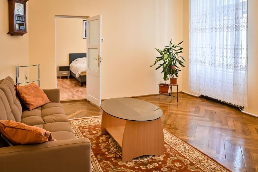 Casa Max Apartment Тимишоара Екстериор снимка