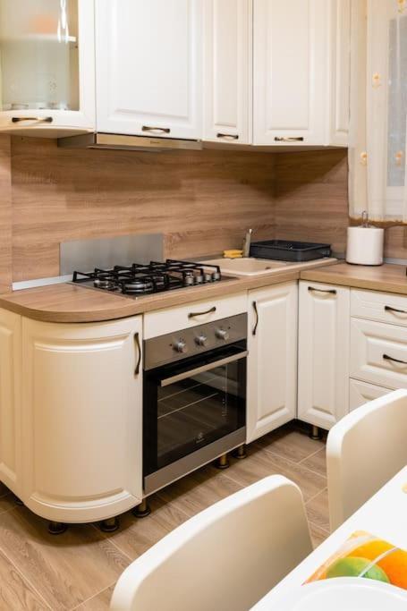 Casa Max Apartment Тимишоара Екстериор снимка
