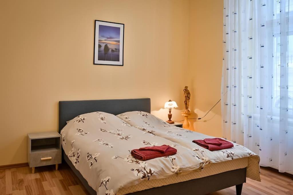 Casa Max Apartment Тимишоара Екстериор снимка