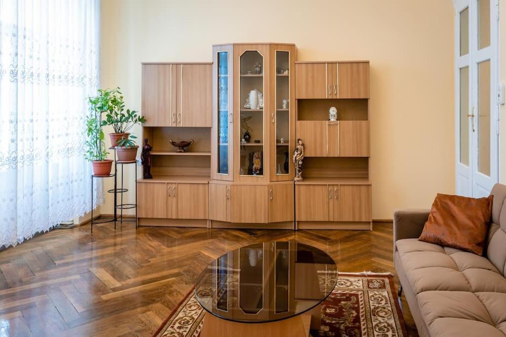 Casa Max Apartment Тимишоара Екстериор снимка