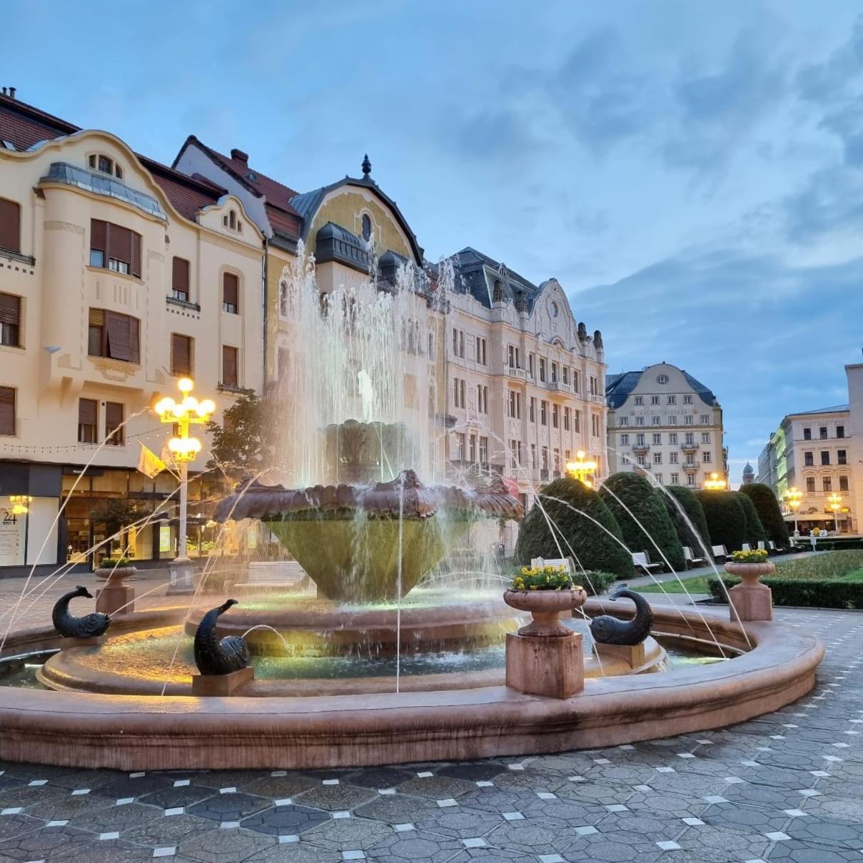 Casa Max Apartment Тимишоара Екстериор снимка